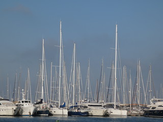 Yachts in the harbor