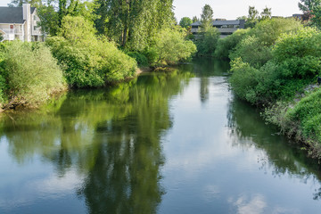 Green River In Tukwila