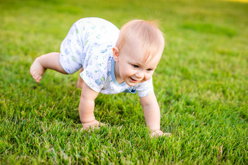 Summer portrait of happy funny baby boy outdoors on grass in field. Child learning to crawl