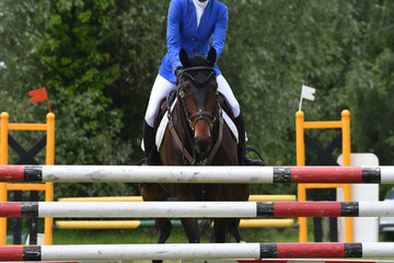 concours hippique