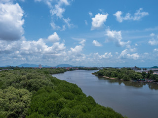 Fototapeta na wymiar Mangrove Forest, Rayong Province, Thailand Land