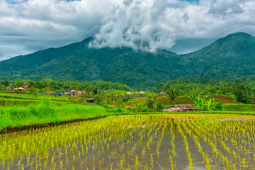 Rice terraces in mountains. Cloudy sky at the background. Bali, Indonesia