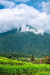 Cloudy sky and mountain. Bali, Indonesia. Vertical orientation