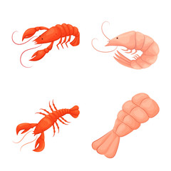 Vector design of shrimp and crab sign. Collection of shrimp and sea stock vector illustration.