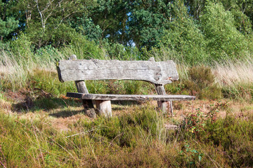 Fototapeta premium Heathland in National Park Maasduinen in the Netherlands