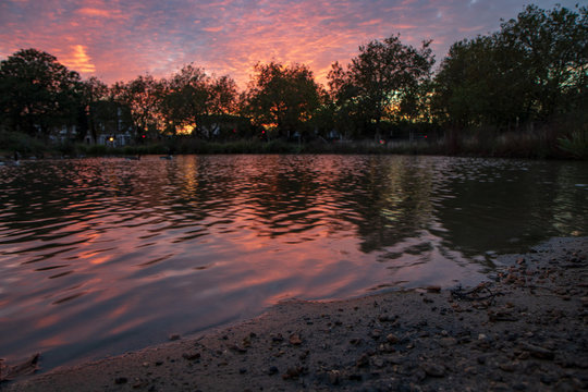 Wanstead Flats