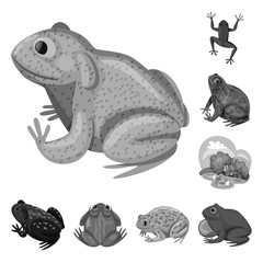 Vector illustration of wild and nature sign. Set of wild and bog stock symbol for web.