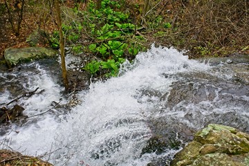 Fototapeta premium Waterfall