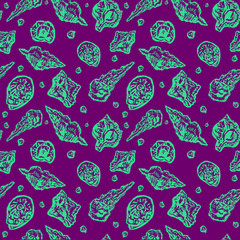 pattern seashells  vector illustration