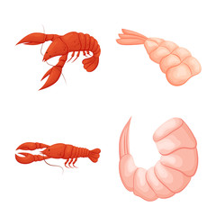 Isolated object of shrimp and crab symbol. Collection of shrimp and sea stock vector illustration.