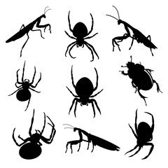 Vector set of various insects: mantis, spider and earth-boring dung beetle in black color, isolated, on white background.
