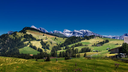 Fototapeta na wymiar Seiser Alm in Südtirol
