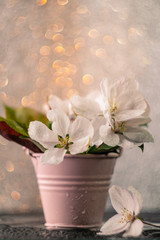 Blooming beautiful apple branches in a small decorative bucket. Cozy simple still life. The concept of summer bloom. Awesome bokeh.