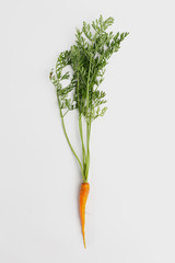 Fresh young raw carrots with green leaves on a white background, healthy food. Top view.