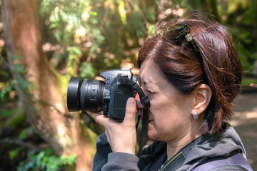 Woman professional photographer taking pictures in a park on a sunny day