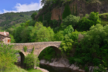 Fototapeta na wymiar Pont sur l'Ardèche à Asperjoc-le-Rigaudel (07600 Vallées-d'Antraigues-Asperjoc), département de l'Ardèche en région Auvergne-Rhône-Alpes, France