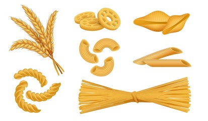 Realistic macaroni. Italian pasta types, noodles spaghetti fusilli wheat food, 3D different dry macaroni set. Vector isolated objects set
