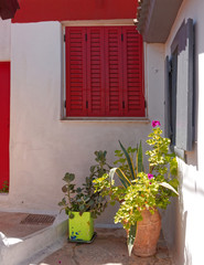 Fototapeta na wymiar Athens Greece, narrow alley with red shutters window and plants in anafiotika picturesque neighborhood under acropolis