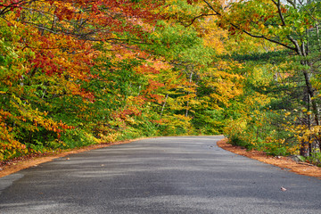Obraz premium Autumn scene with road in in White Mountain National Forest, New Hampshire, USA. Fall in New England.