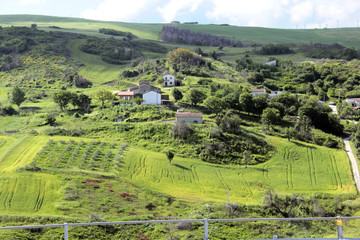 paysage agricole