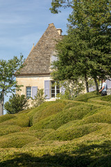 Fototapeta na wymiar : Topiary in the gardens of the Jardins de Marqueyssac in the Dordogne region of France