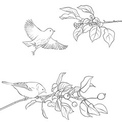 bird at tree branch