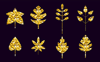Set of vector isolated golden glitter textured leavse. Flat icons set isolated on black, leaves of different types of trees on dark background, autumn graphic design, little readable contrast elements