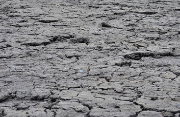 arid land dry cracked ground hot global warming earth desert background empty life