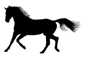 Fototapeta na wymiar Motif ou logo noir sur fond blanc d'un cheval au trot