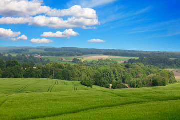 Fototapeta na wymiar Hills with field and trees and blue sky
