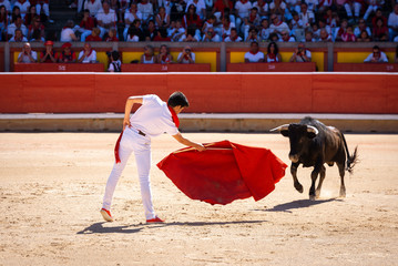 Young bullfighter in Pamplona bullring, Spain