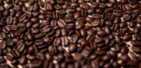 Fototapeta premium roasted coffee beans texture macro
