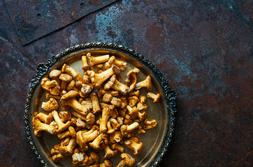 Raw forest chanterelle mushrooms in a plate top view space for text 