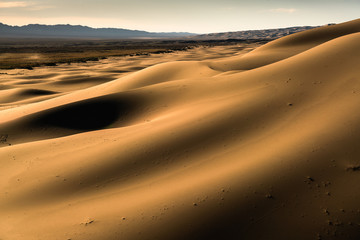 Gobi desert , Mongolia 