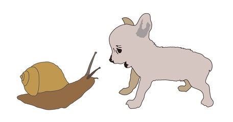 snail puppy animal cartoon illustration cute
