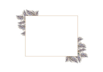 illustration watercolor feather card backdrop