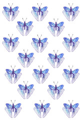 illustration watercolor butterfly flight color