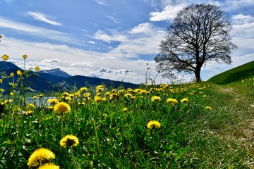Rigi mit Sonnenwirbeln