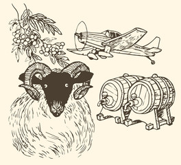RAM sheep aries barrel plane Rowan illustration drawing black white animal