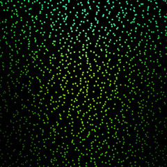 Dark Green vector background with colorful stars.