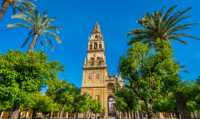 Fototapeta na wymiar Bell Tower of Cordoba Mosque Cathedral on a sunny morning. Andalusia, Spain.