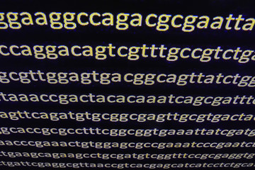 Genome sequencing.