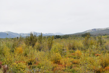 Fototapeta premium Jesienna tundra na tle gór w Jakucji.