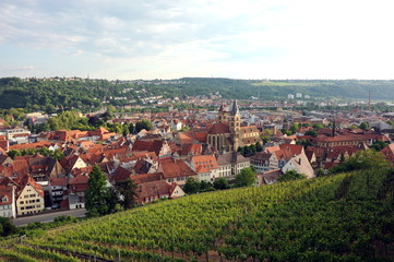 Fototapeta na wymiar Blick auf Esslingen auf dem Weg zur Burg