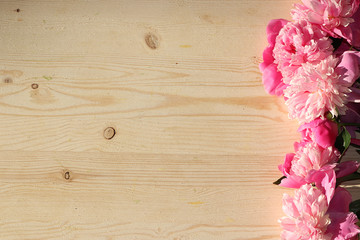 Colorful flowers of pink peony on a wooden table, top view with copy space, selective focus. Pink flowers on a wooden background, the arrival of summer and the celebration of nature