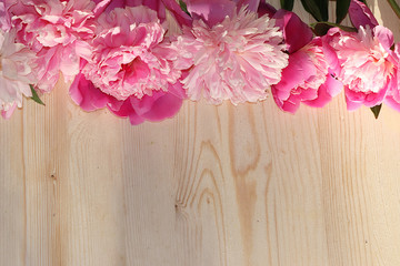 Colorful flowers of pink peony on a wooden table, top view with copy space, selective focus. Pink flowers on a wooden background, the arrival of summer and the celebration of nature