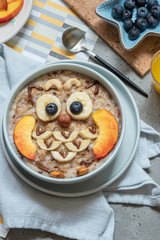 Owl shaped breakfast healthy oatmeal porridge for kids