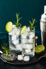 classic gin and tonic cocktail with rosemary sprigs in tall glasses on a table with bar accessories
