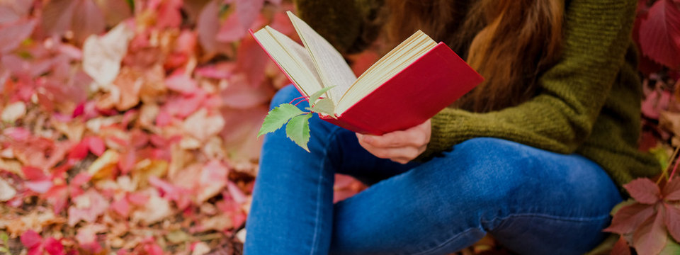 Girl in blue jeans sitting among colorful ivy in autumn and reading a book in red cover