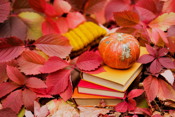 Stack of paper books, small orange pumpkin and mustard yellow knit hat among colorful ivy foliage in autumn. Fall season still life.